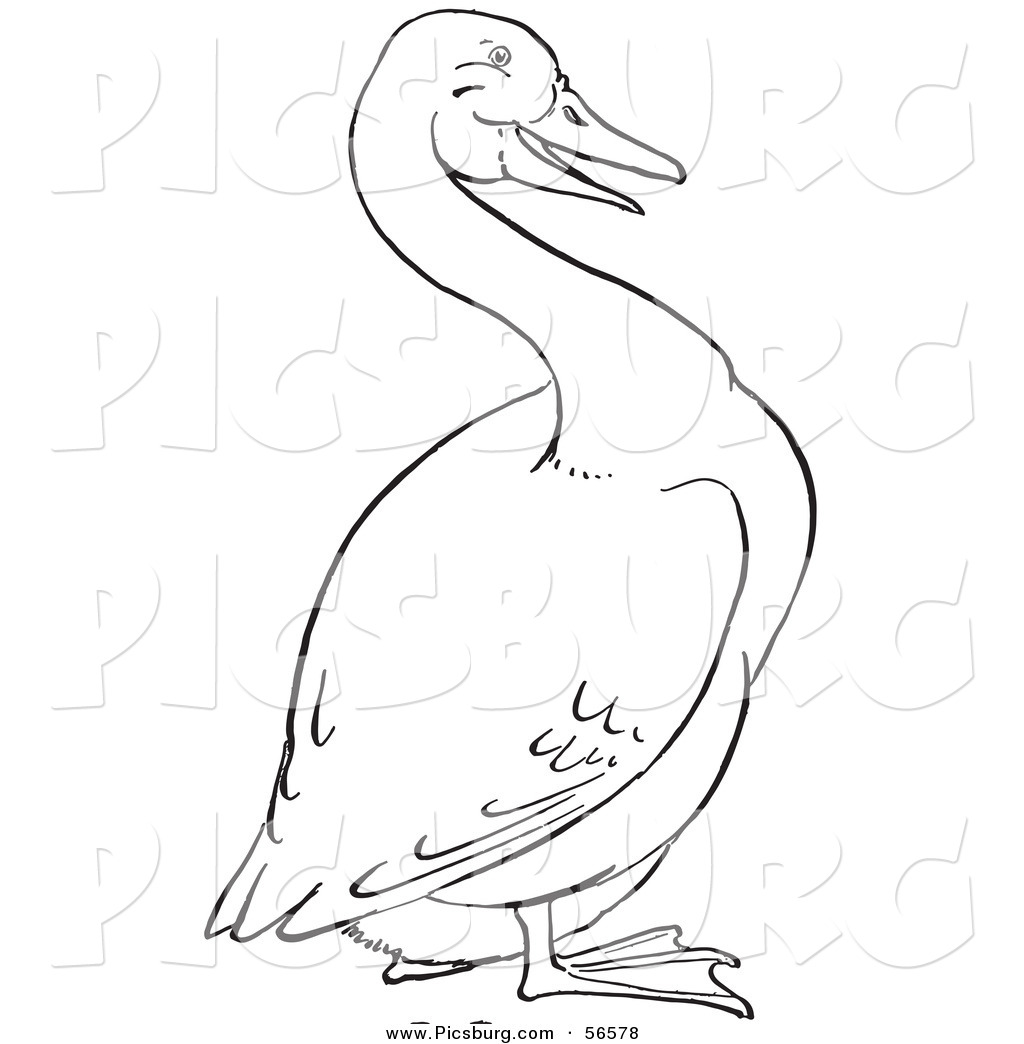 goose clipart black and white - photo #20