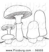 Clip Art of a Coloring Page of Mushrooms by Picsburg