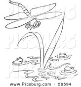 Clip Art of a Dragonfly Flying over Three Frogs in a Pond - Black and White Line Art by Picsburg
