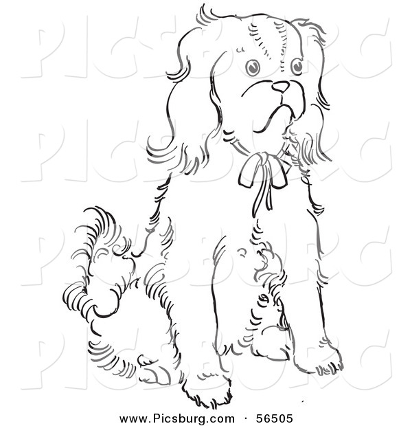 Clip Art of a Cavalier King Charles Spaniel Dog Sitting on Ground - Black and White Line Art