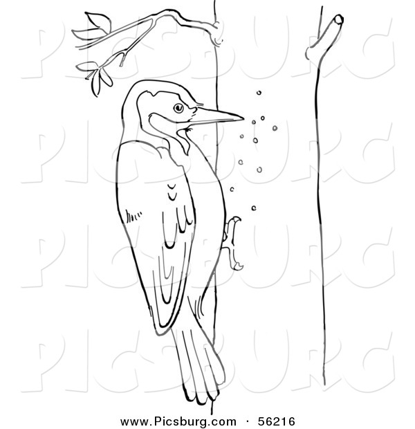 Clip Art of a Woodpecker on a Tree - Black and White Line Art