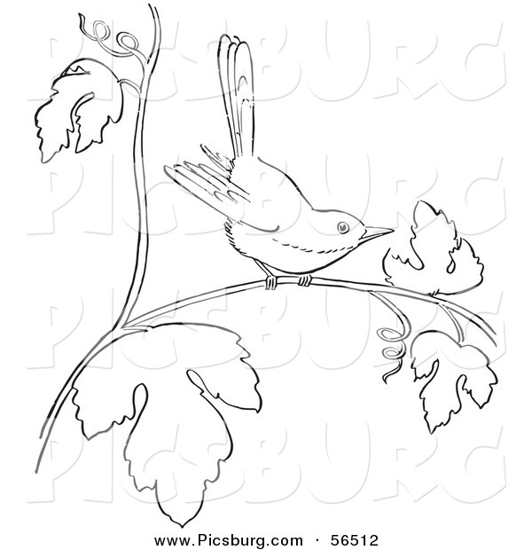 Clip Art of a Wren on a Tree Branch - Black and White Line Art