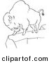 Clip Art of a Bison Standing on a Cliff - Black and White Line Art by Picsburg