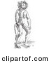 Clip Art of a Cercopithecus Wild Man Creature - Fantasy Black and White Line Drawing by Picsburg