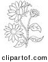 Clip Art of a Coloring Page of a Black Eyed Susan Flower Plant by Picsburg