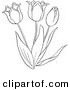 Clip Art of a Coloring Page of a Tulip Flower Plant by Picsburg