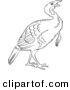 Clip Art of a Gobbler Thanksgiving Turkey Bird - Black and White Line Art by Picsburg