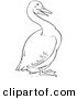 Clip Art of a Goose on Land - Black and White Line Art by Picsburg