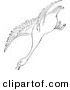 Clip Art of a Swan Descending in Flight - Black and White Line Art by Picsburg