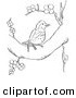 Clip Art of a Wood Thrush Resting in a Blossoming Tree - Black and White Line Art by Picsburg