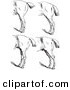 Clip Art of an Old Fashioned Vintage Engraved Horse Anatomy of Bad Hind Quarters in Black and White 5 by Picsburg