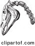 Clip Art of an Old Fashioned Vintage Engraving of Horse Head and Neck Bones in Black and White by Picsburg