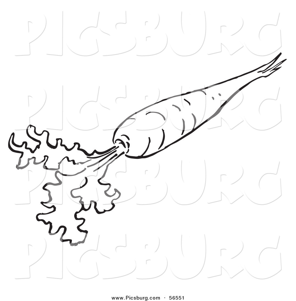 Clip Art Of A Coloring Page Of A Carrot With Greens By Picsburg
