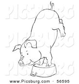 Clip Art of a Circus Pig Doing Handstand on a Metal Pot - Black and White Line Art by Picsburg