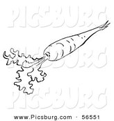 Clip Art of a Coloring Page of a Carrot with Greens by Picsburg