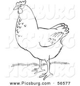 Clip Art of a Hen on Grass - Black and White Line Art by Picsburg