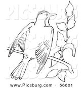 Clip Art of a Kingbird with Open Wings on a Tree Branch - Black and White Line Art by Picsburg