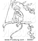 Clip Art of a Monkey Eating Fruit out of a Tree - Black and White Line Art by Picsburg