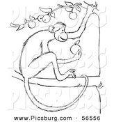 Clip Art of a Monkey Eating in an Apple in a Tree - Black and White Line Art by Picsburg