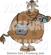 Clip Art of a Photographer Cow Taking Photographs with a Digital Camera in His Hands by Djart