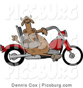 Clip Art of a Rebel Male Bull Cow Driving a Motorcycle by Djart