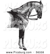 Clip Art of a Reined Horse with Good Strong Shoulders - Black and White Vector Graphic by Picsburg