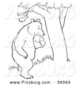 Clip Art of a Standing Bear with Apples Beside a Tree - Black and White Line Art by Picsburg