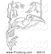 Clip Art of a Wild Toucan in a Tree with Many Branches - Black and White Line Art by Picsburg