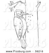 Clip Art of a Woodpecker on a Tree - Black and White Line Art by Picsburg