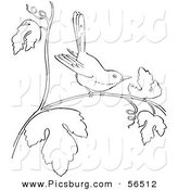 Clip Art of a Wren on a Tree Branch - Black and White Line Art by Picsburg
