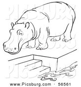 Clip Art of a Zoo Hippo Standing on a Pool Platform with Stairs - Black and White Line Art by Picsburg