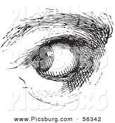 Clip Art of an Olf Fashioned Vintage Watchful Eye in Black and White by Picsburg