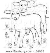 Clip Art of Two Lambs in a Flower Field - Black and White Line Art by Picsburg