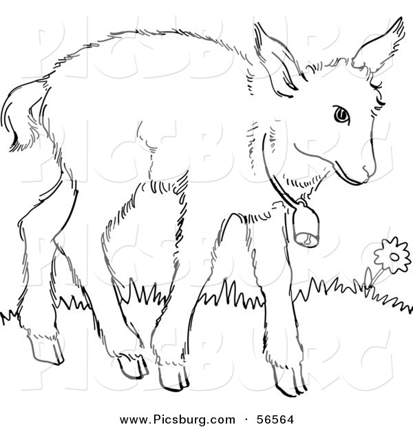 Clip Art of a Baby Goat Wearing a Bell - Black and White Line Art