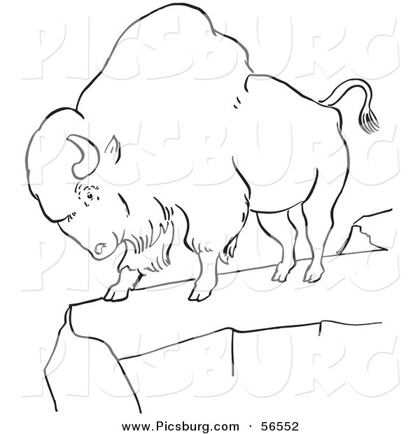 Clip Art of a Bison Standing on a Cliff - Black and White Line Art