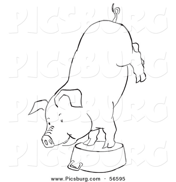 Clip Art of a Circus Pig Doing Handstand on a Metal Pot - Black and White Line Art
