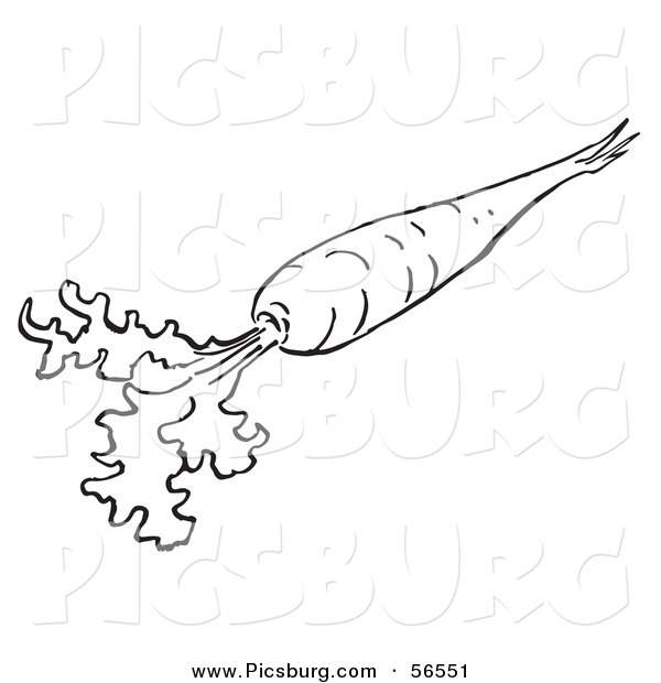 Clip Art of a Coloring Page of a Carrot with Greens