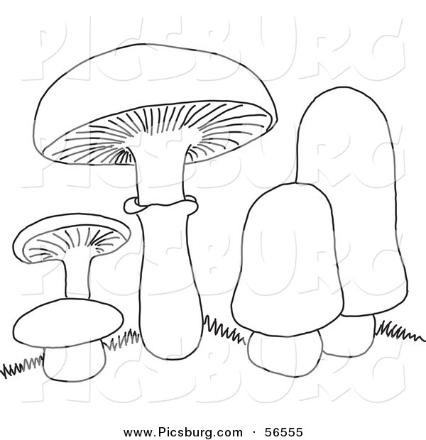 Clip Art of a Coloring Page of Mushrooms