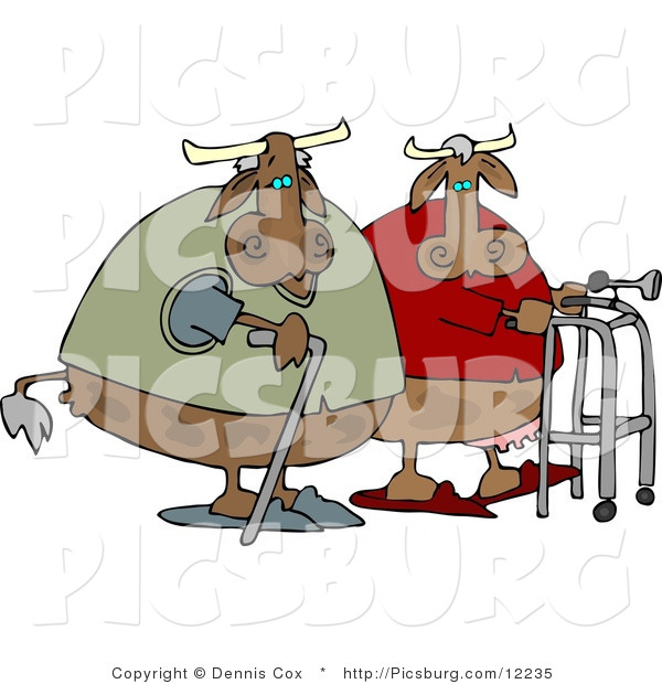 Clip Art of a Couple of Decrepit Old Cows Walking Together