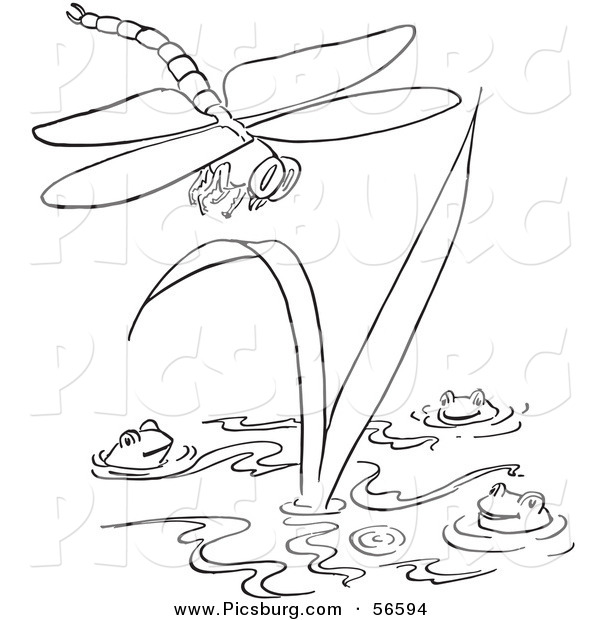 Clip Art of a Dragonfly Flying over Three Frogs in a Pond - Black and White Line Art