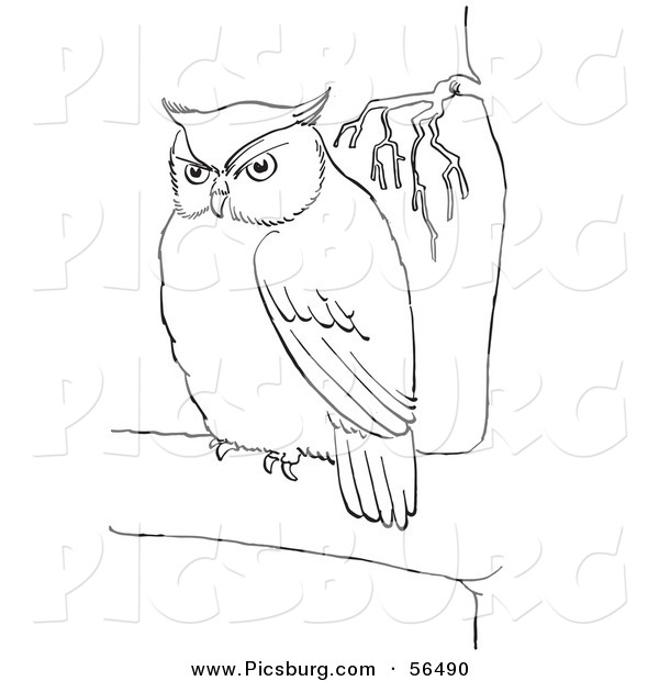 Clip Art of a Fat Owl in a Tree - Black and White Line Art