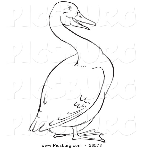 Clip Art of a Goose on Land - Black and White Line Art