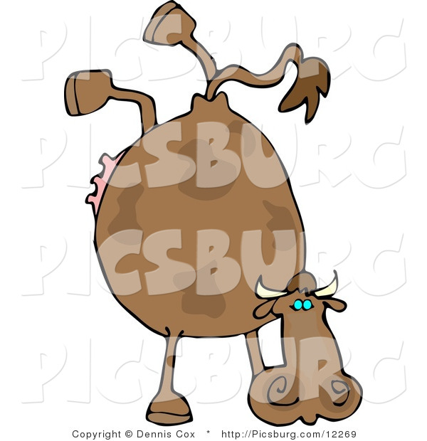Clip Art of a Gymnast Cow Doing Handstand
