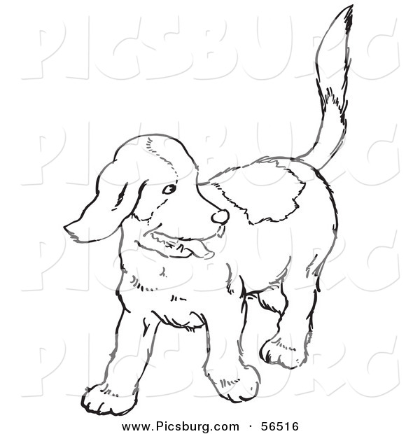 Clip Art of a Happy Puppy Dog Looking Back - Black and White Line Art