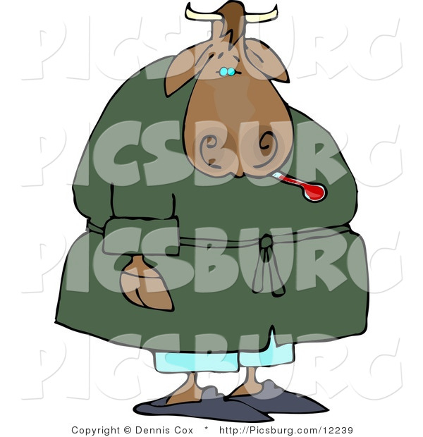 Clip Art of a Ill Male Cow Using a Common Mercury Thermometer to Take His Temperature