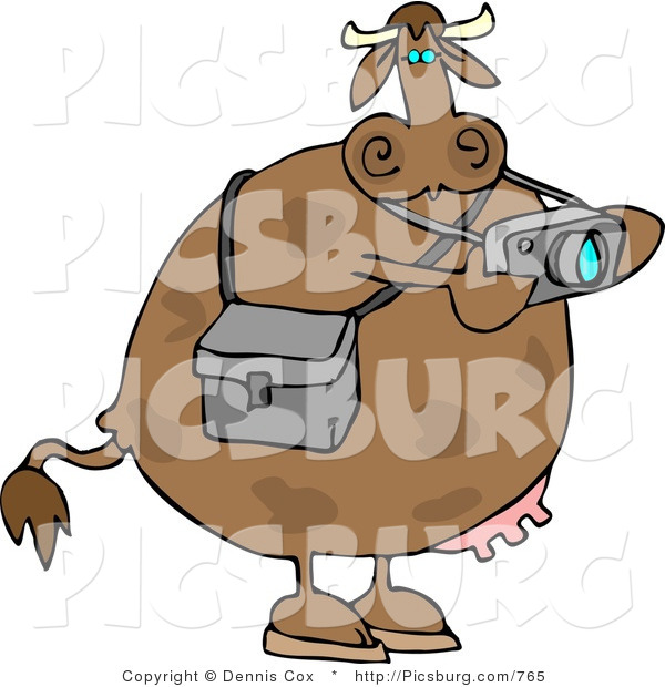 Clip Art of a Photographer Cow Taking Photographs with a Digital Camera in His Hands