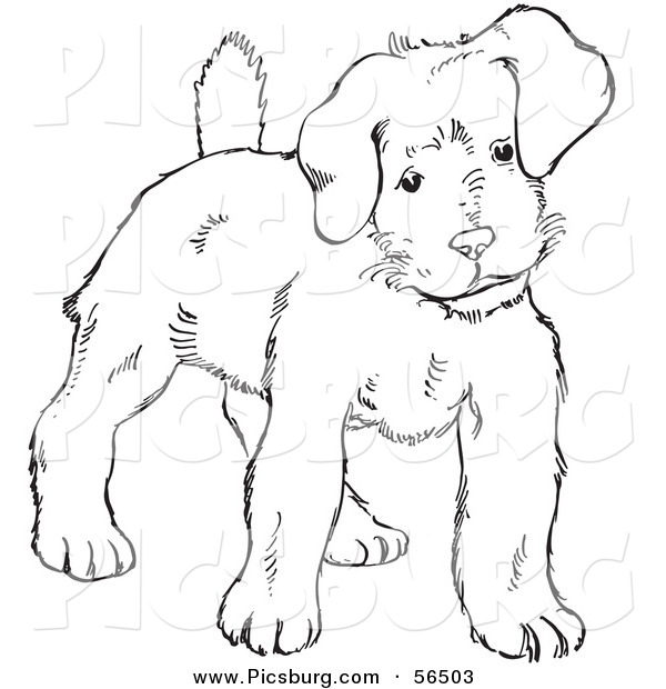Clip Art of a Puppy Dog Looking Alert - Black and White Line Art