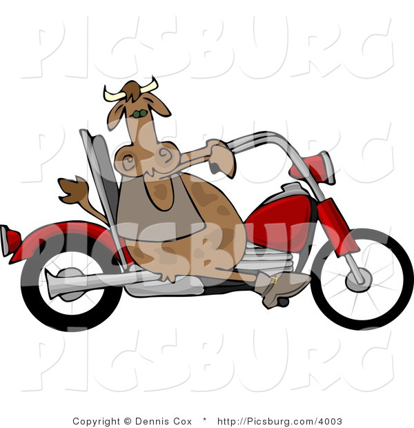 Clip Art of a Rebel Male Bull Cow Driving a Motorcycle