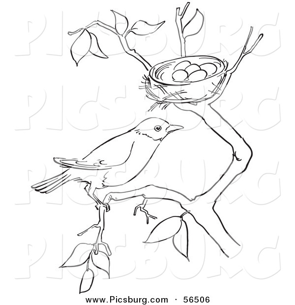 Clip Art of a Robin Resting on a Branch by Her Nest with Eggs - Black and White Line Art