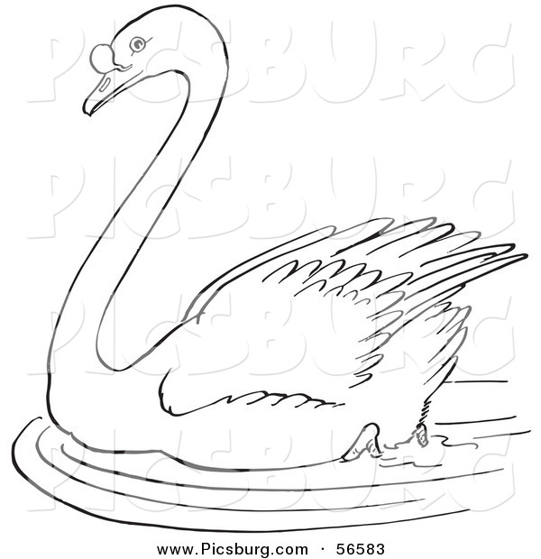 Clip Art of a Swimming Swan in a Pond - Black and White Line Art